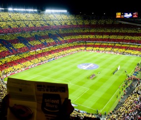 开云体育入口-孤星耀世，当范弗利特在深港之巅为国王加冕，赌上的是整个奥运周期的尊严