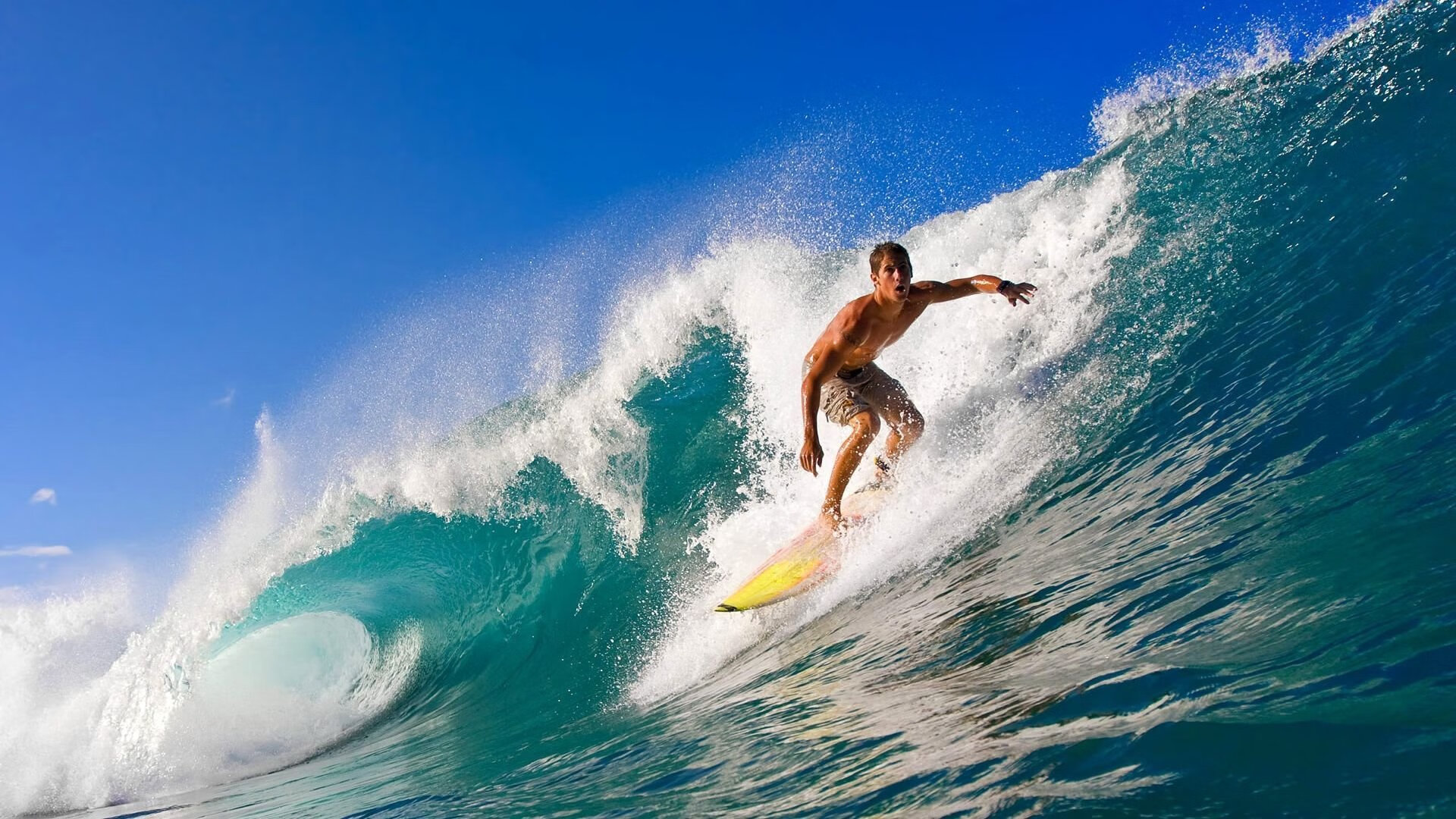 东瀛风暴席卷巴黎，王皓式统治力再现，日本队碾压法国启示录